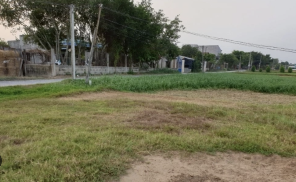Bài học tôi bán lỗ đất nền để mua căn hộ quận 2