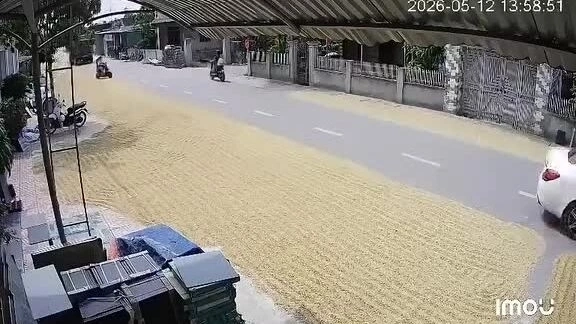'Đáng thương đến mấy cũng không được phơi lúa ngoài đường'
