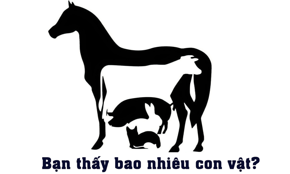 Mắt 10/10 mới thấy toàn bộ con vật trong 5 giây