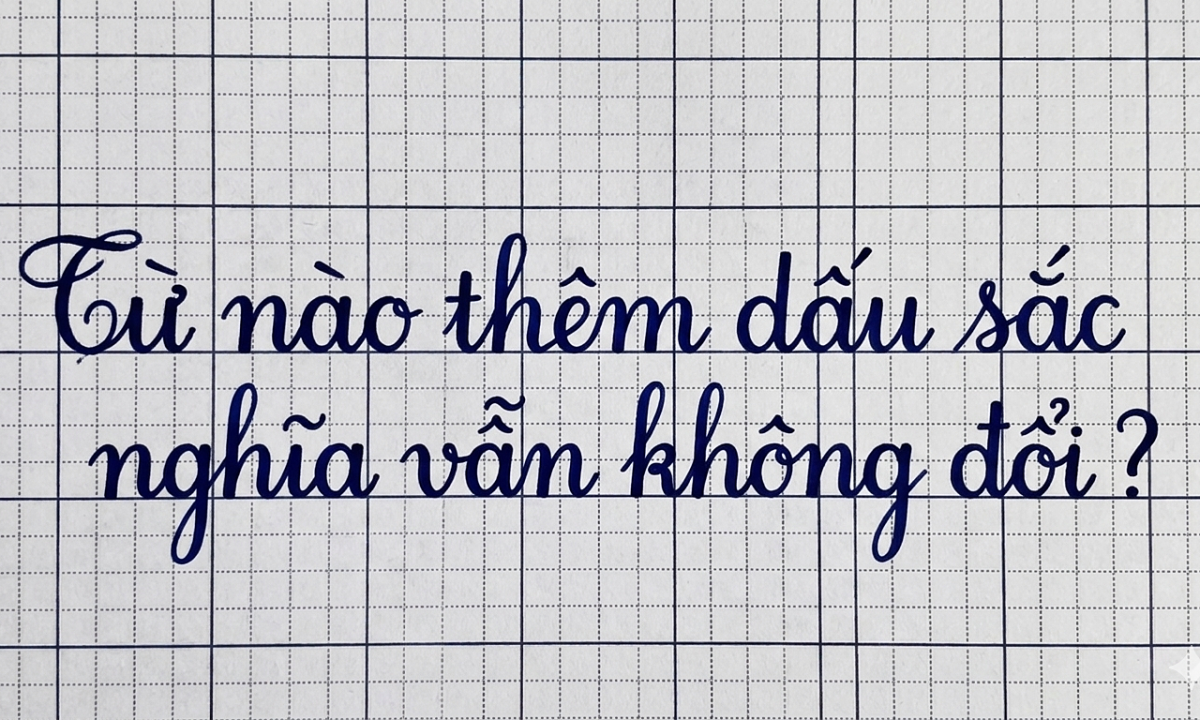 Từ tiếng Việt nào thêm dấu sắc nghĩa vẫn không đổi?