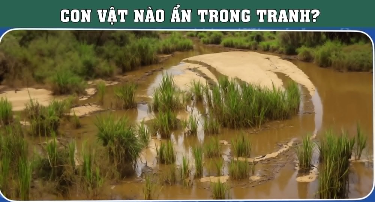 Con vật nào đang 'ngụy trang' cực đỉnh trong tranh