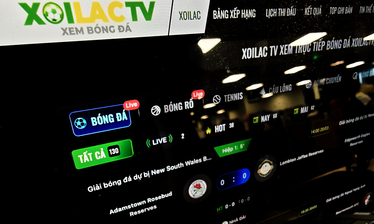 Lý do một số web lậu bị triệt phá vẫn "sống lại"