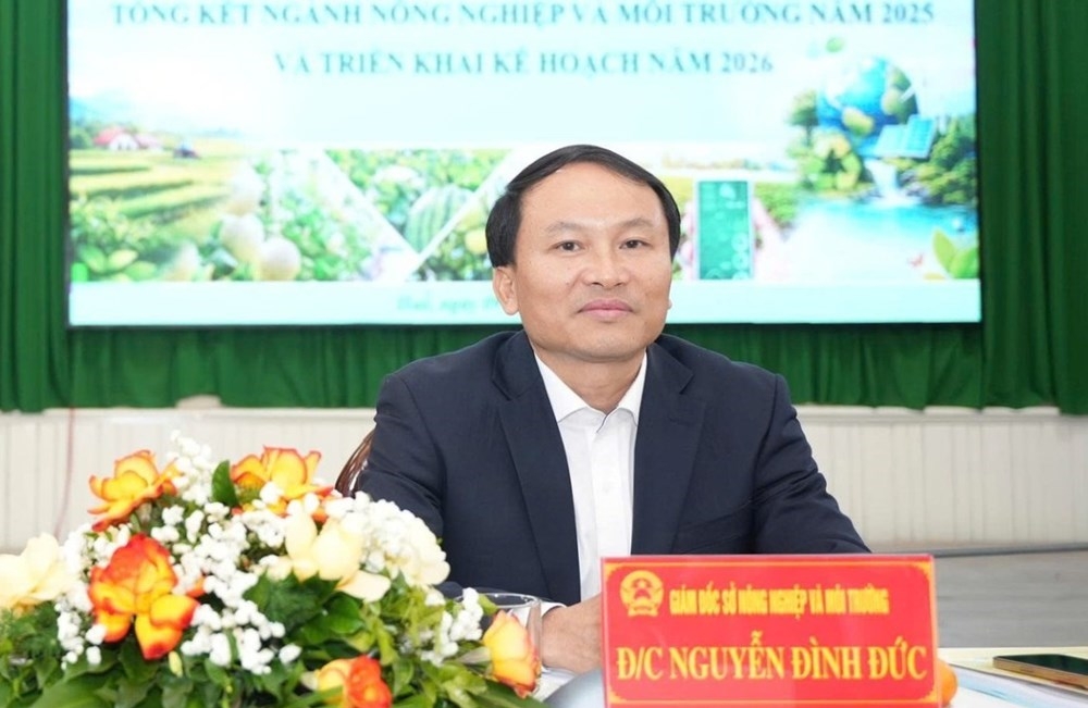 Giám đốc Sở Nông nghiệp và Môi trường TP Huế bị cảnh cáo