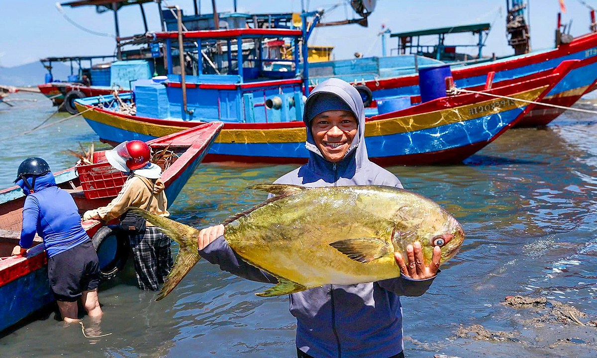 Ngư dân Hà Tĩnh trúng hơn một tấn cá chim vàng