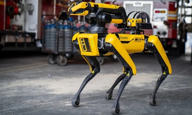 Những robot động vật giải quyết thách thức kỹ thuật