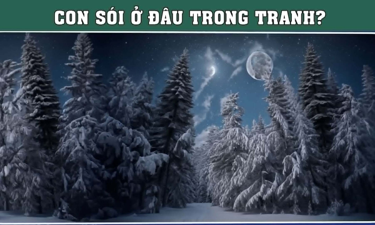 Con sói đang ẩn nấp ở đâu trong khu rừng tuyết?