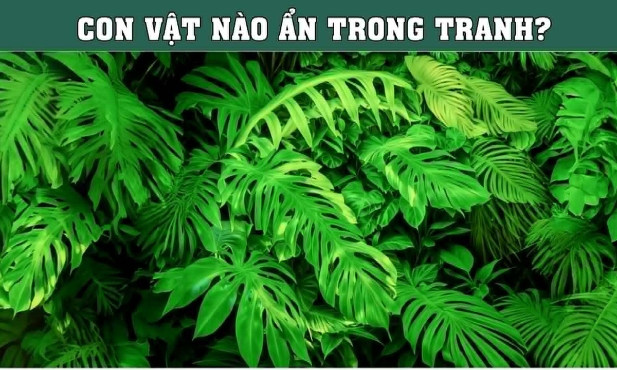90% người nhìn mãi vẫn chưa phát hiện con vật bí ẩn trong tranh