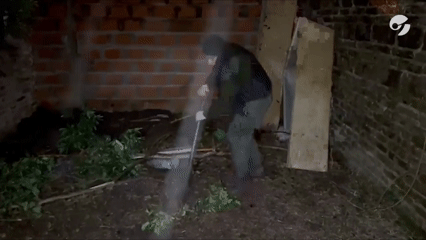 Chôn 50 kg cocaine trong vườn nhà
