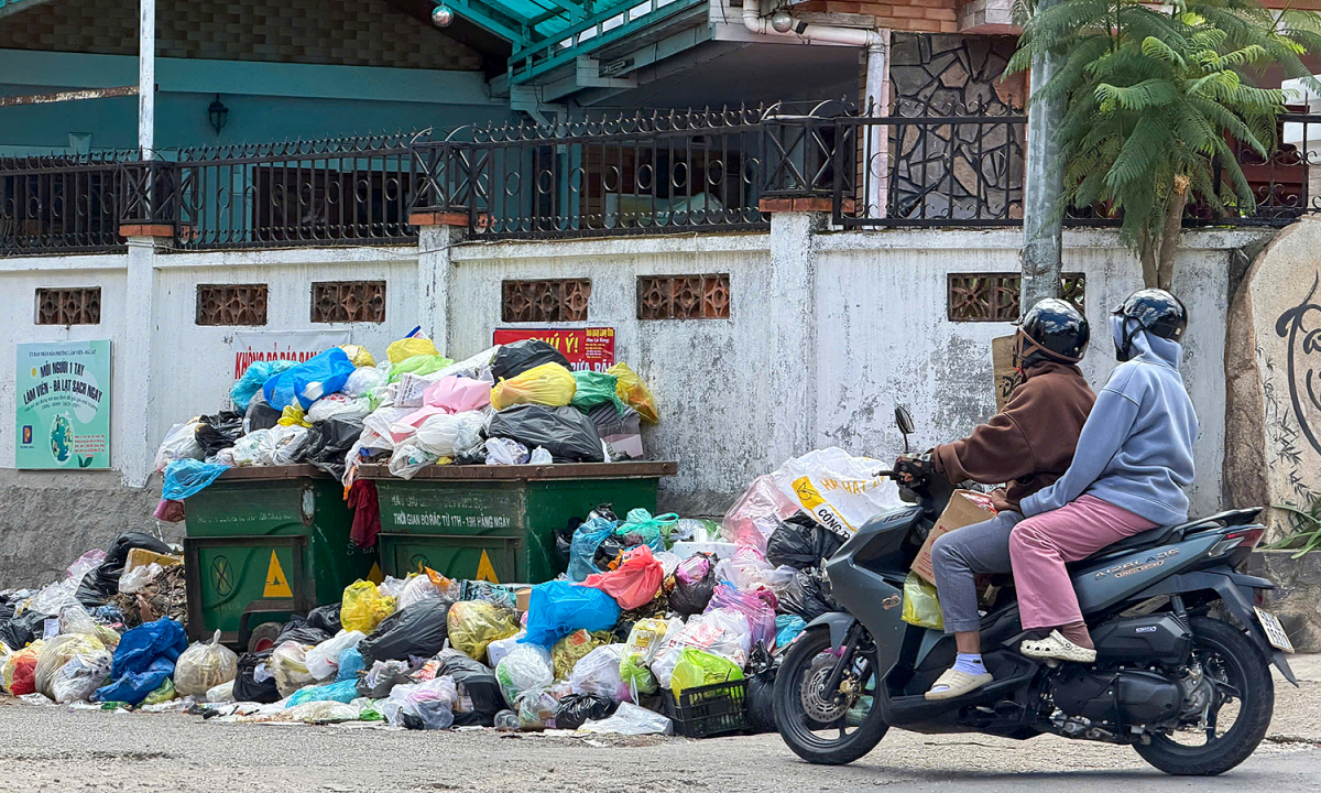 Hàng trăm tấn rác ùn ứ trên nhiều tuyến phố ở Đà Lạt