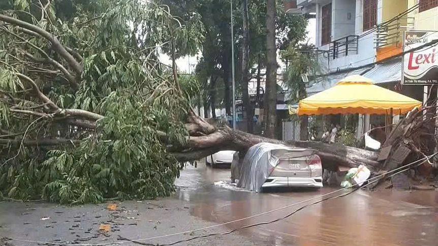 Mưa giông quật đổ hàng chục cây xanh, đè hai ôtô