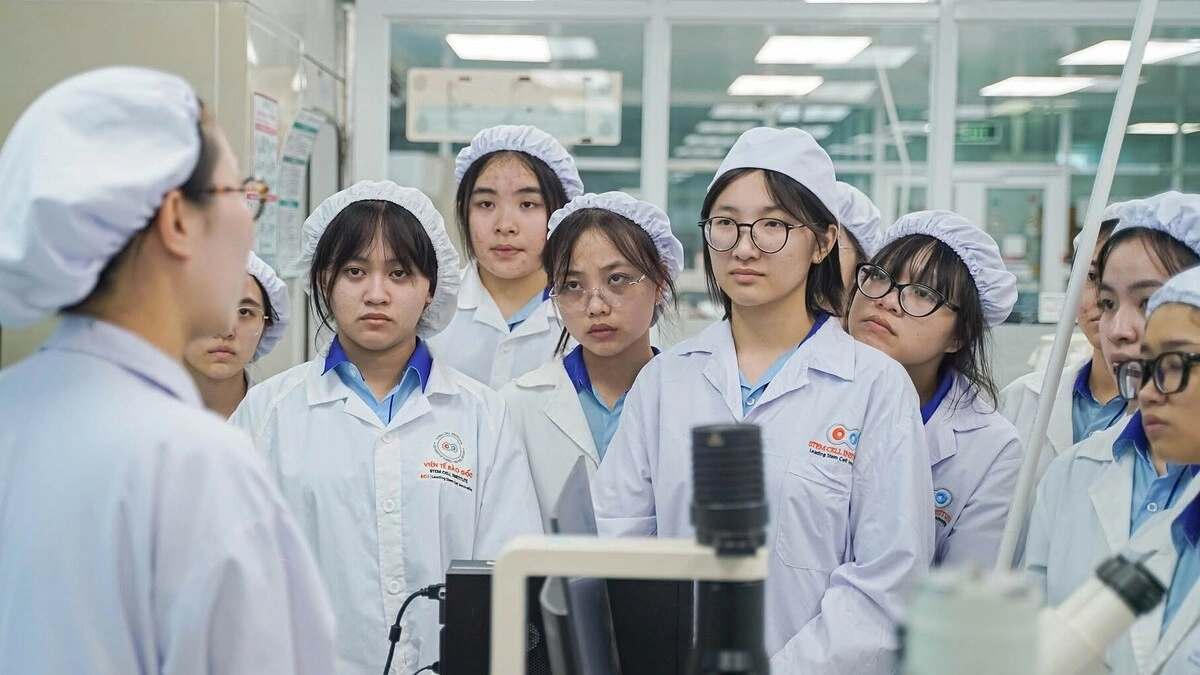 111 ngành mà sinh viên được học bổng 3,7-5,5 triệu đồng/tháng