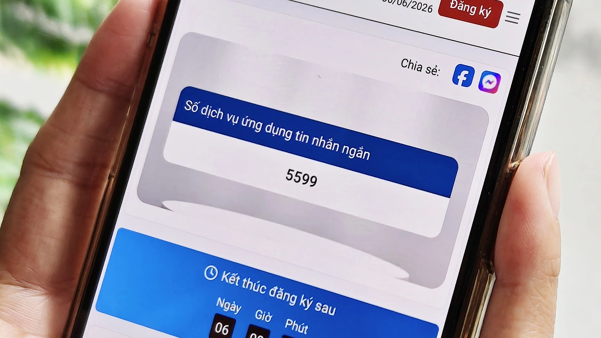 Hai mã, số viễn thông được đưa ra đấu giá