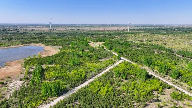 'Vạn lý Trường thành Xanh' biến sa mạc thành bể chứa carbon