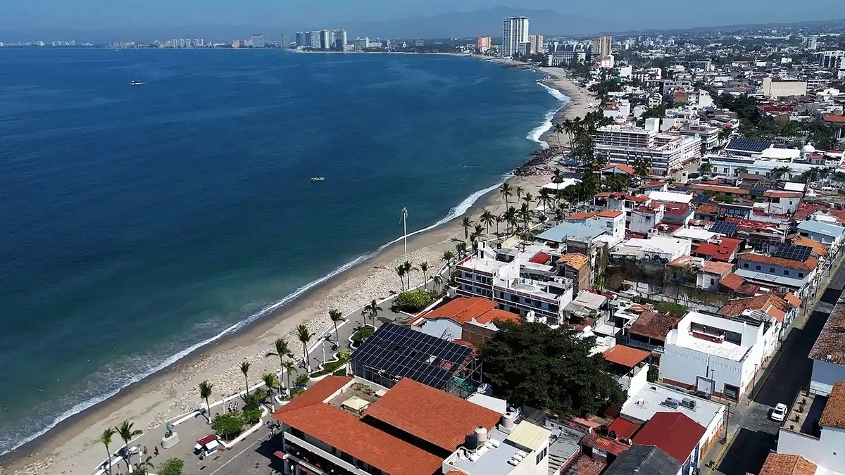 Cá sấu kéo người xuống biển ở Mexico
