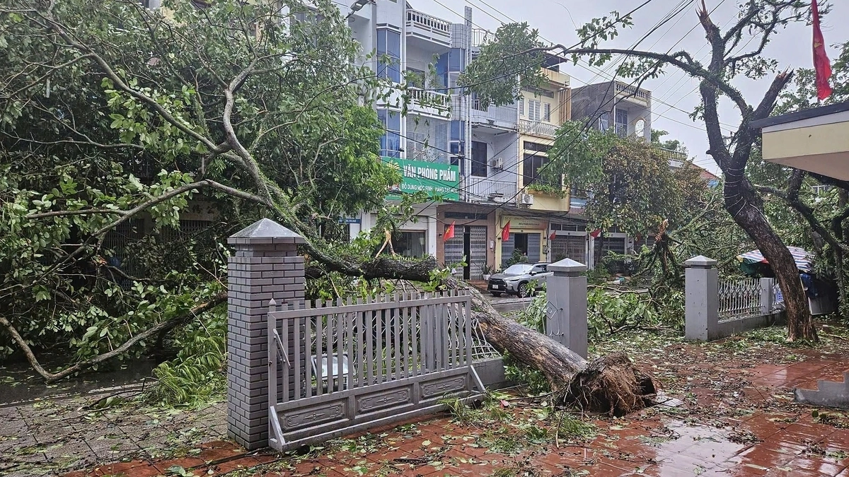 Bão vào Trung Quốc, miền Bắc tiếp tục mưa