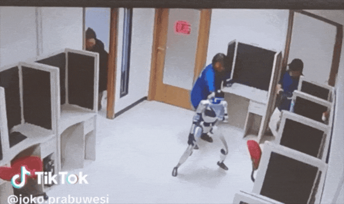 Robot hình người 'làm loạn trong phòng' được dàn dựng