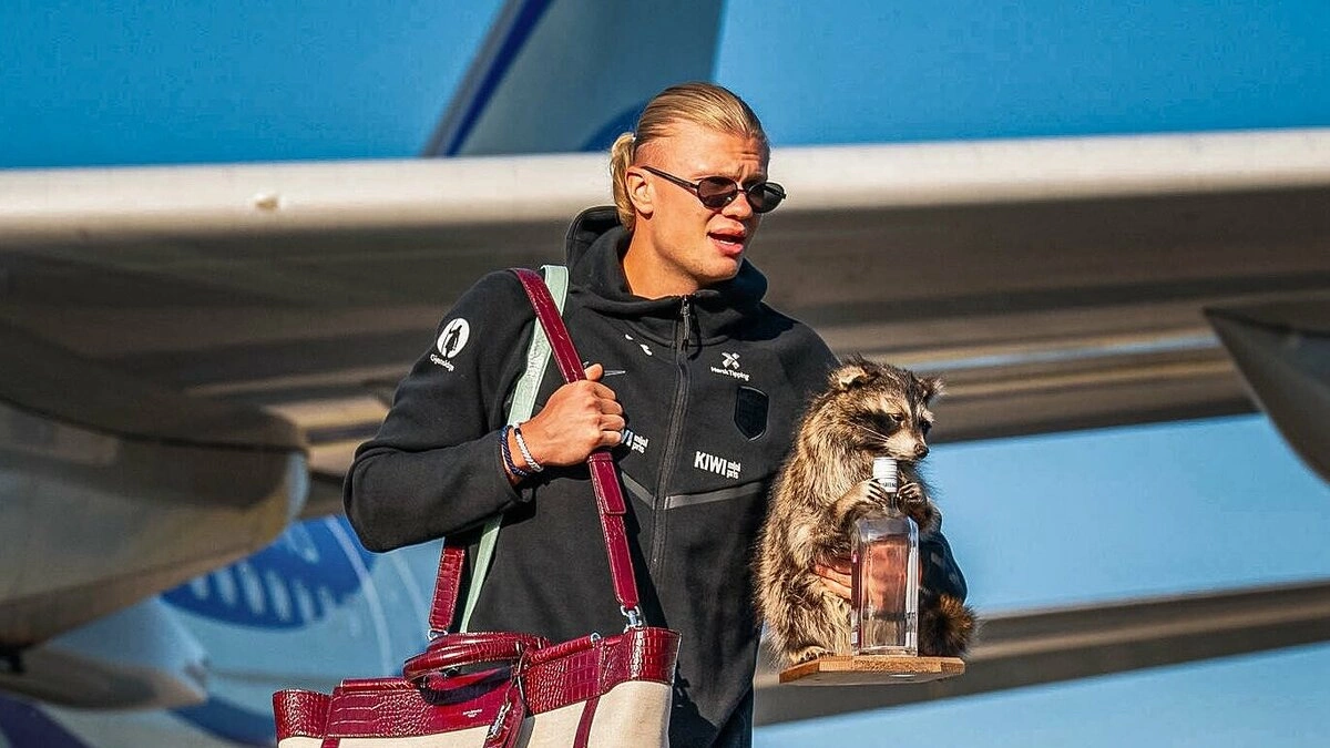 Haaland ôm gấu mèo bông về nước sau World Cup
