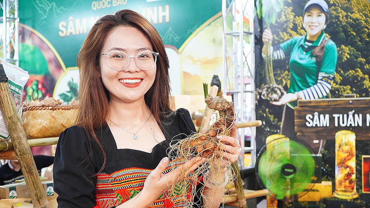 Đà Nẵng tổ chức lễ hội sâm Ngọc Linh bên sông Hàn