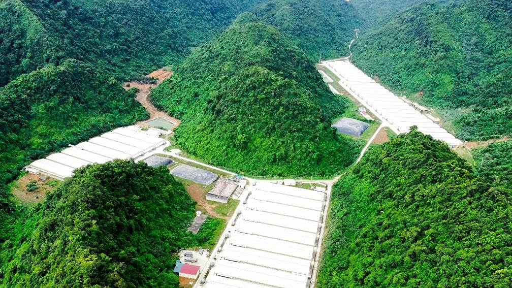 Ba người chết trong trang trại nuôi lợn