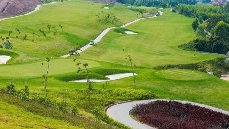 Kinh tế Quy hoạch Hạ tầng Bất động sản Du lịch Phú Thọ chuyển đổi 70 ha đất rừng làm sân golf gần nghìn tỷ đồng