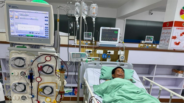 Bị ong vò vẽ đốt 150 vết, người đàn ông suy đa tạng