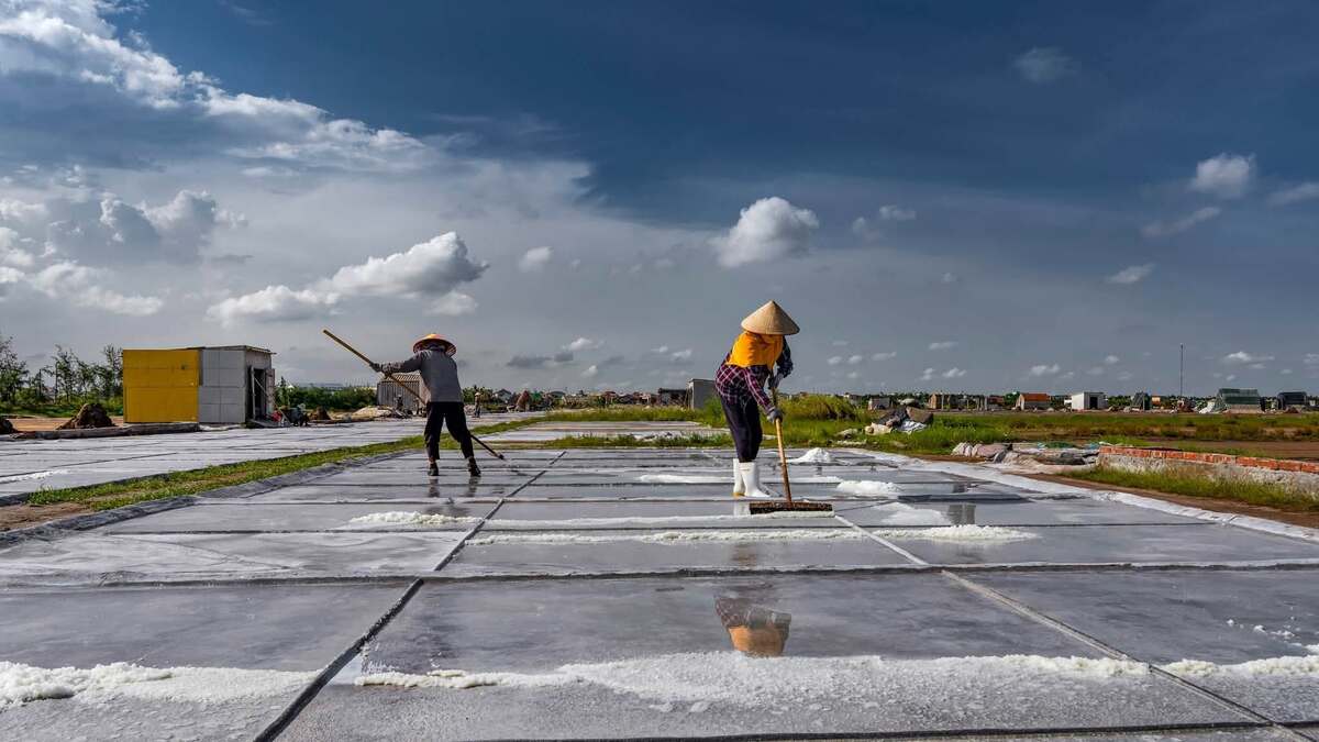 Phơi nắng, làm muối cùng diêm dân Ninh Bình