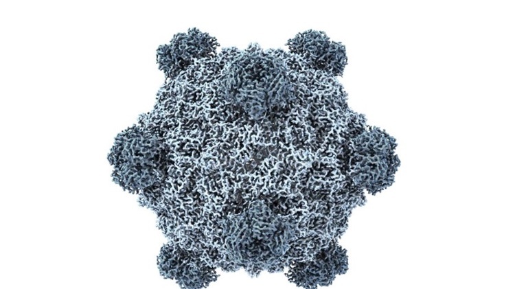 AI tạo ra 16 loại virus chưa từng có trong tự nhiên