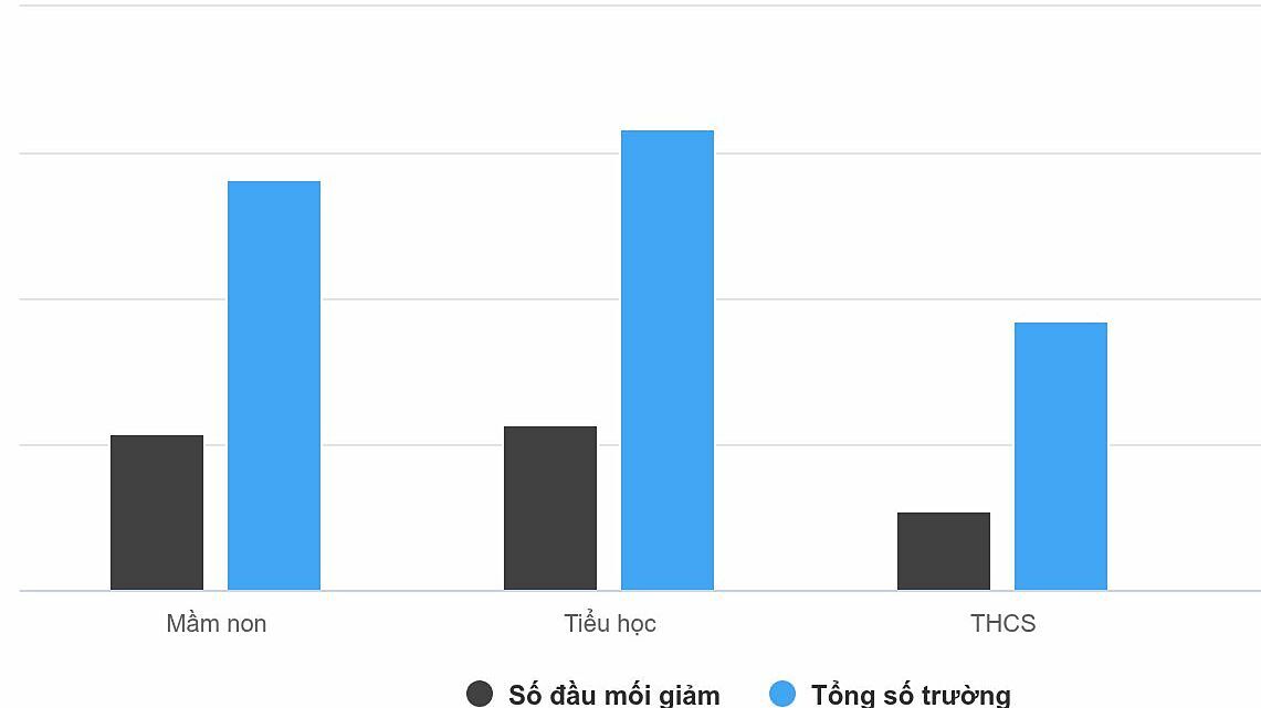 12 xã, phường ở TP HCM dự kiến giảm hơn 50% đầu mối trường công