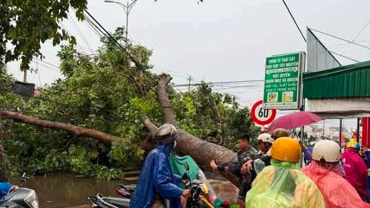 Giông lốc tốc mái nhà, quật ngã cây đè người đi đường ở Lâm Đồng, Đăk Lăk