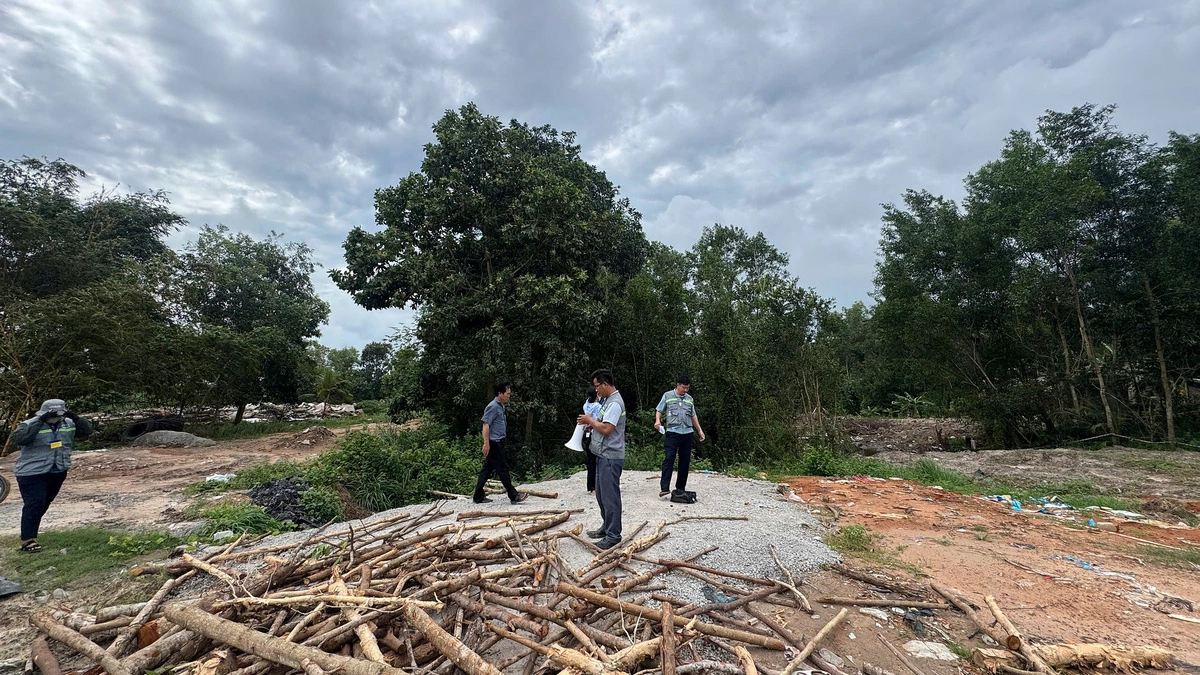 260 ha rừng phòng hộ Phú Quốc bị chiếm