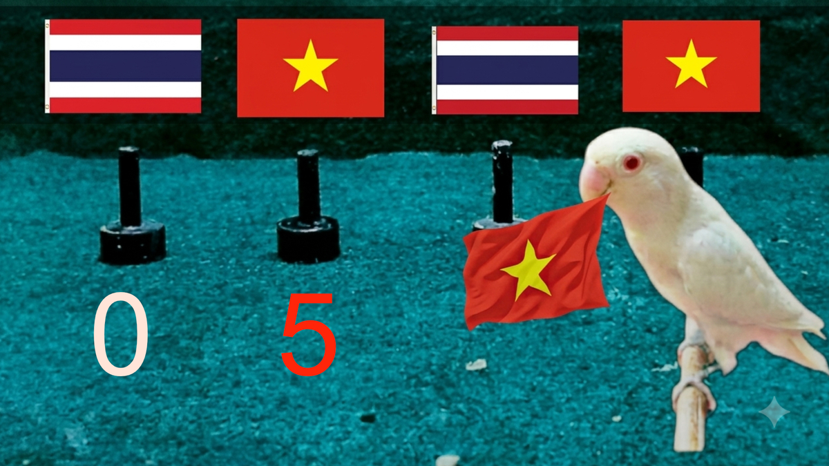 'Chim thần' dự đoán Việt Nam thắng đậm Thái Lan