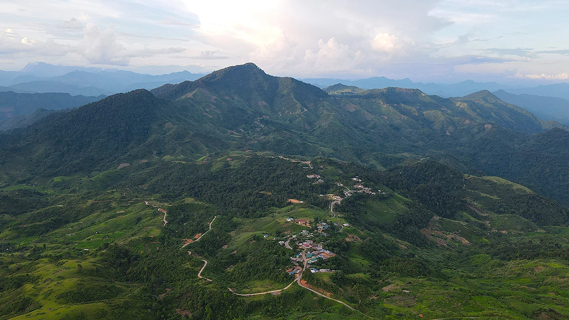 Hàng trăm người truy lùng nghi can giết em ruột rồi trốn vào rừng