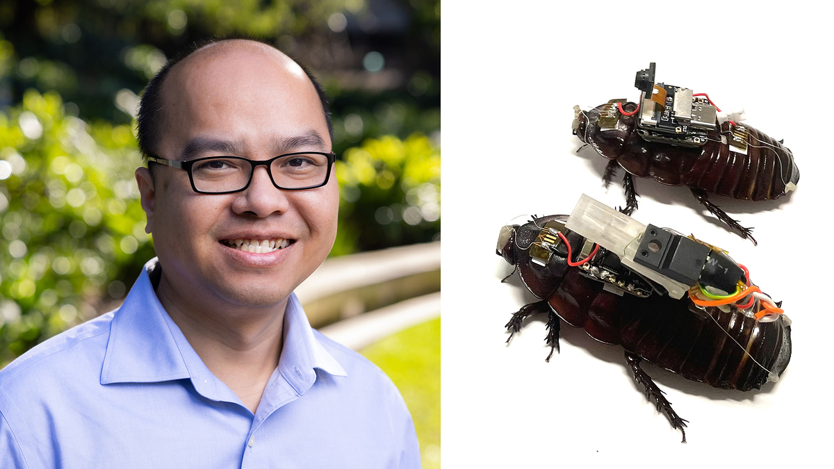 Nhóm nhà khoa học Việt biến gián thành 'cyborg' cứu hộ