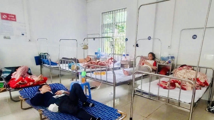 Khuẩn Salmonella khiến 254 người Gia Lai ngộ độc sau ăn bánh mì