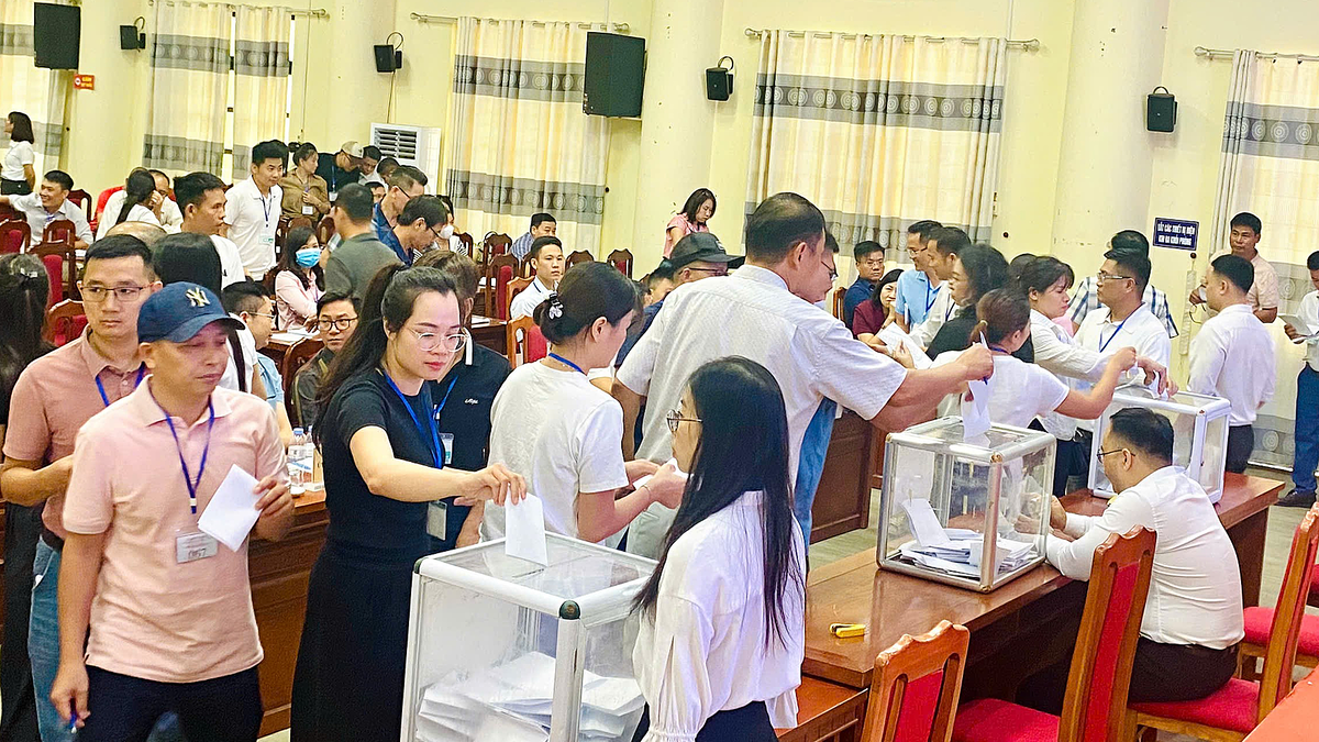 Đất xã ven Hà Nội trúng đấu giá bình quân hơn 5 tỷ đồng mỗi lô