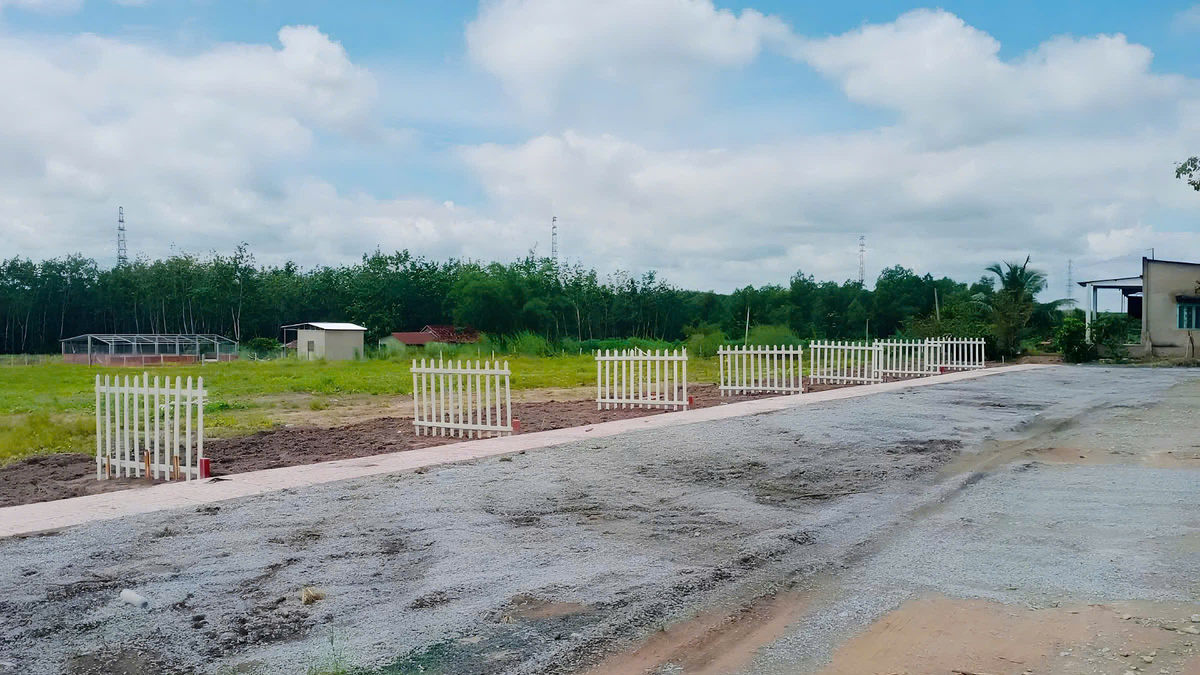 HoREA: Khoảng trống pháp lý tạo kẽ hở cho "đầu nậu" đất nền lừa đảo