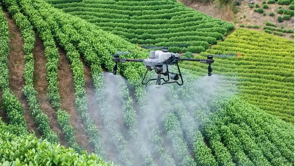 10.000 drone đang sử dụng tại Đồng bằng sông Cửu Long