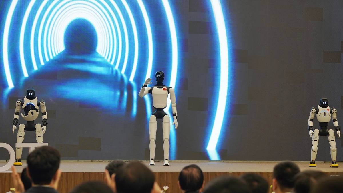 "Robot hình người ở Việt Nam chủ yếu dùng để trình diễn"