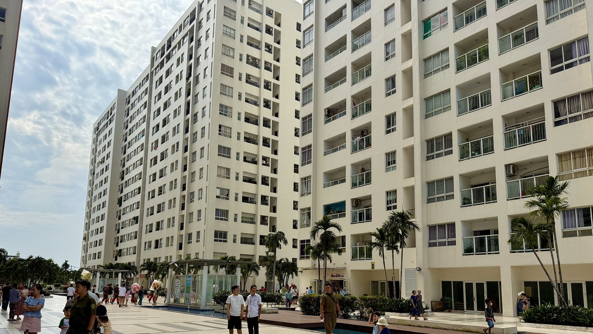 TP HCM đã cấp sổ hồng cho hơn 43.000 căn nhà