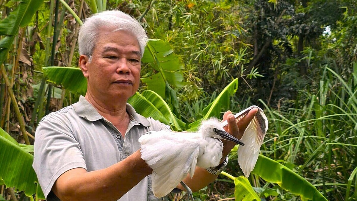 Người đàn ông hơn 30 năm giữ đất cho chim trời