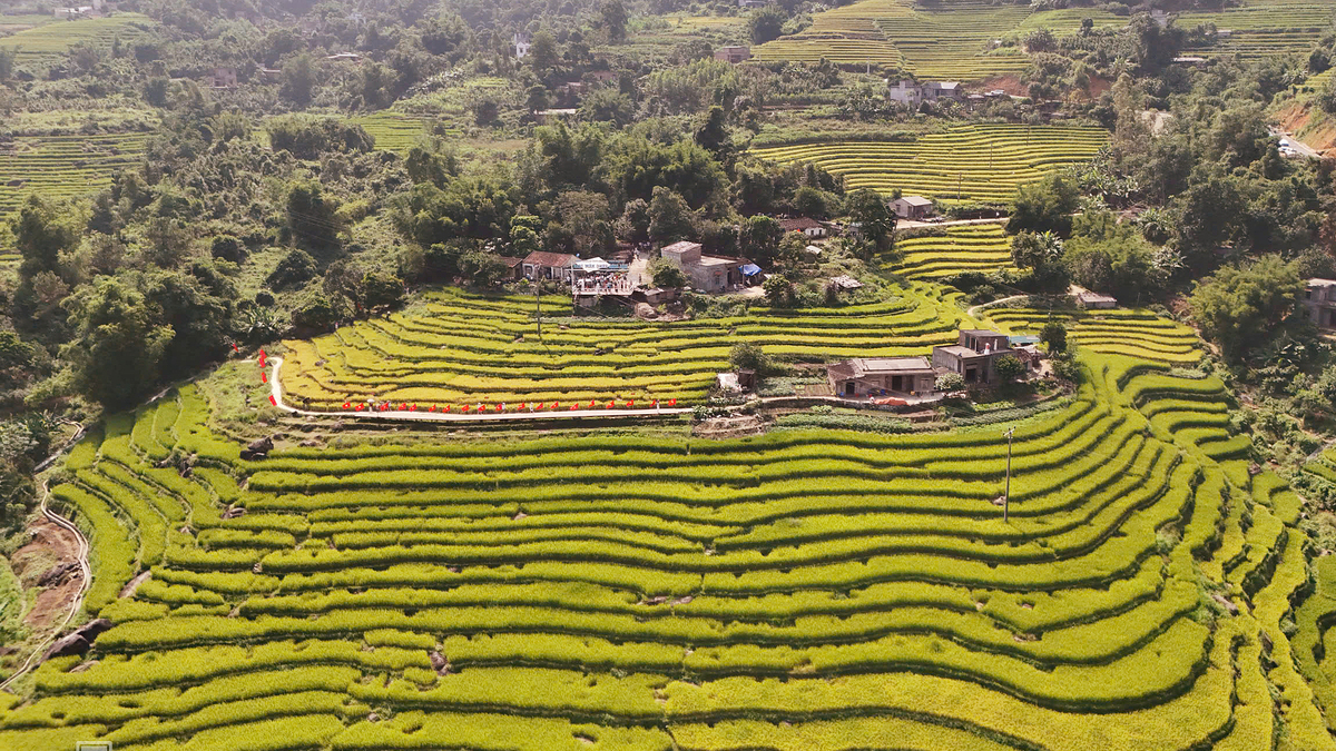 Du lịch Khe Sanh - vùng cao tỉnh Quảng Trị có gì hấp dẫn 2 Mùa vàng ở vùng biên Lục Hồn