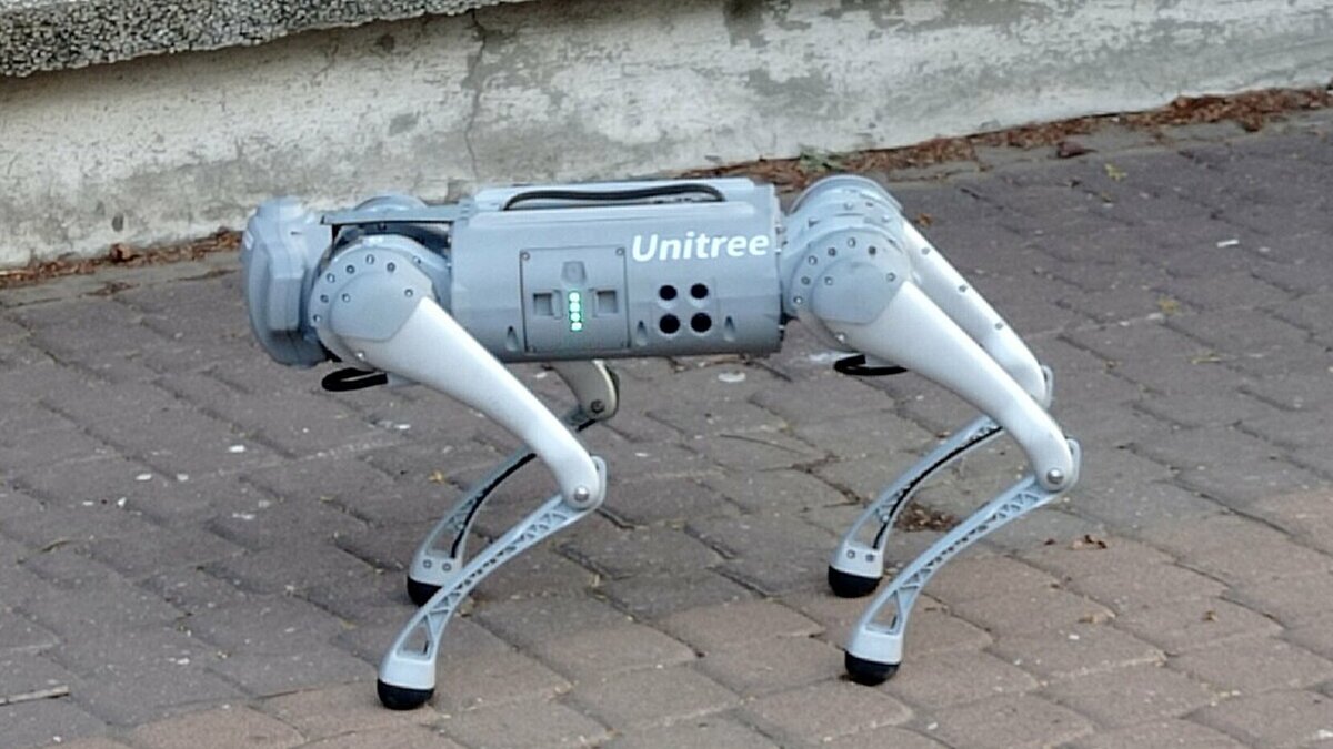 Công ty Mỹ tuyển người dắt chó robot đi dạo